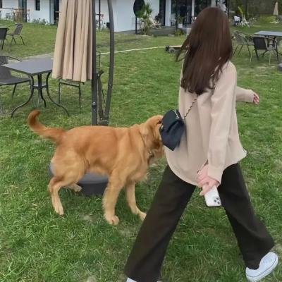 鬼声泣