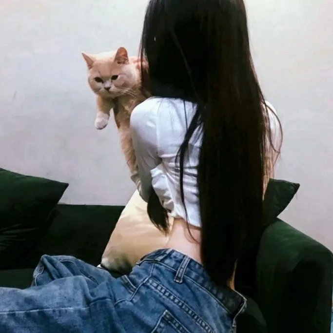 伊妮德